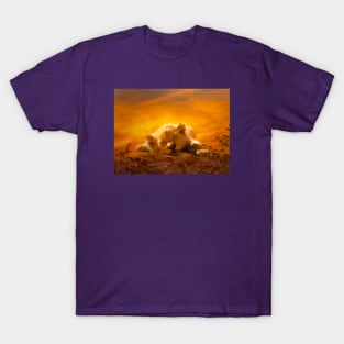 Simba T-Shirt